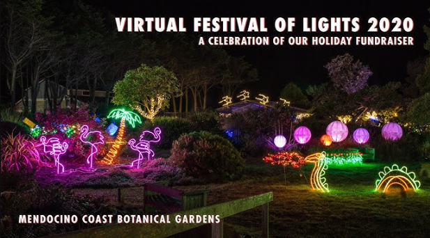 The 14th Annual Festival of Lights at the Mendocino Botanical&nbsp;Gardens
