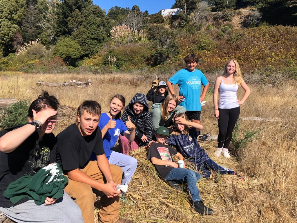 Invasive Beach Grass Gets Eliminated!  